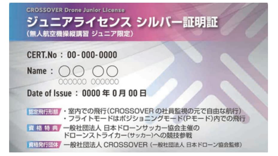 ジュニアライセンス シルバー